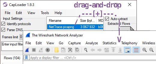 Drag-and-drop NetTrace.pcapng from CapLoader to Wireshark