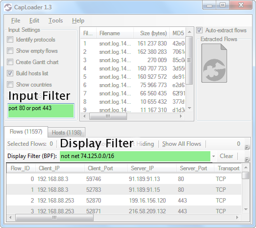 CapLoader BPF Input Filter and Display Filter