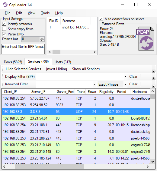 CapLoader Services tab showing DNS requests to 8.8.8.8