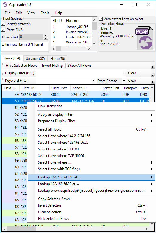 CapLoader OSINT lookups