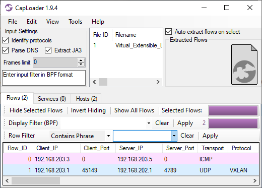 ICMP flow extracted from VXLAN tunnel