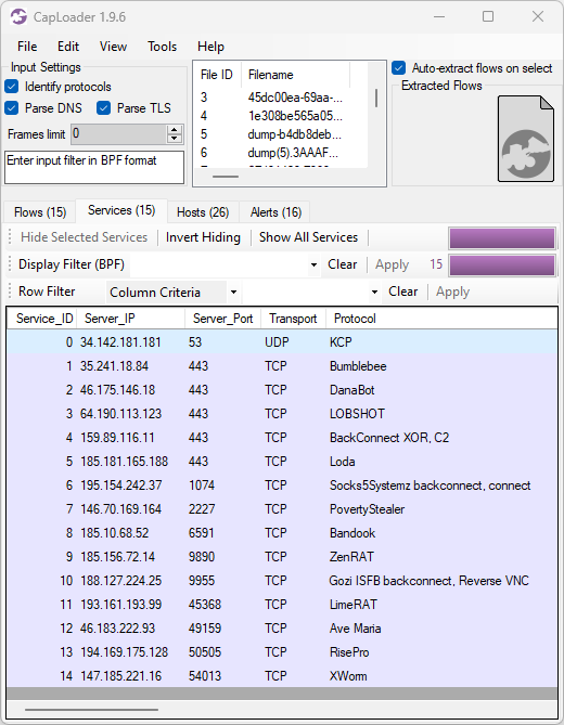 Malicious protocols detected by CapLoader