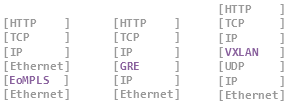 Encapsulation examples for MPLS GRE and VXLAN