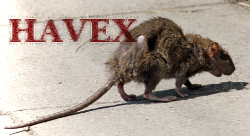 Havex RAT, original 'Street-rat' by Edal Anton Lefterov. Licensed under Creative Commons Attribution-Share Alike 3.0