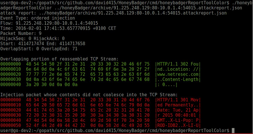 HoneyBadger detecting an injected TCP packet with FIN flag