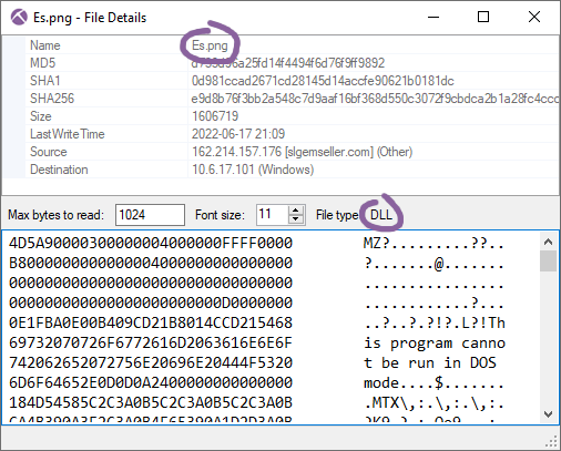 Matanbuchus malware download in NetworkMiner