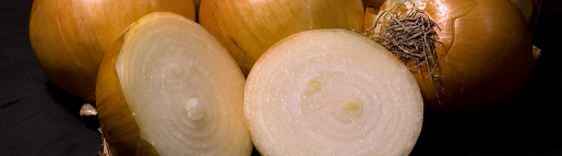 Yellow onions with cross section. Photo taken by Andrew c