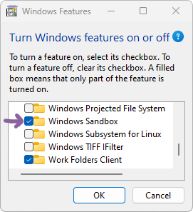 Optional Features, Windows Sandbox