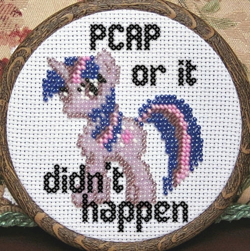 PCAP or it didn't happen pwnie, original by Nina on http://n924.deviantart.com