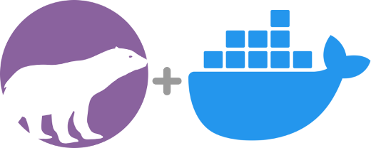 PolarProxy + Docker