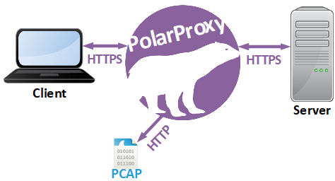 PolarProxy flow chart