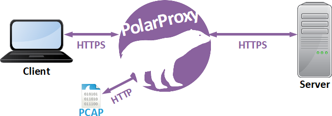 PolarProxy flow chart
