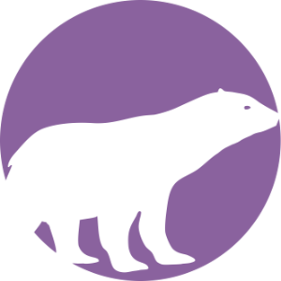 PolarProxy logo
