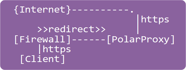 Transparent Forward Proxy