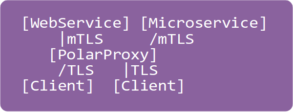 mTLS Proxy