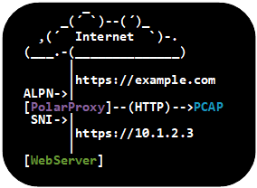 Reverse TLS Proxy