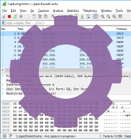 Wireshark reading from PacketCache