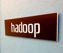 Hadoop photo by Robert Scoble