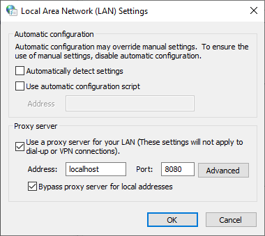 Windows Internet Options LAN Proxy Settings