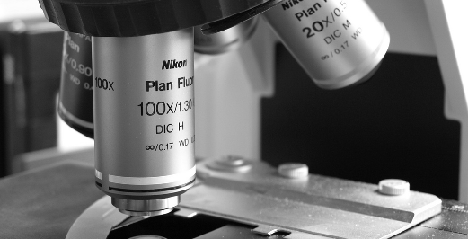Nikon Microscope by windy_