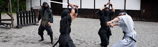 Ninja Training by Danny Choo